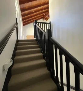 Image Title
